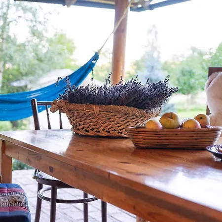 Chill Us - W Otoczeniu Lasu I Natury, Przyjazny Czworonogom Ferienhaus *