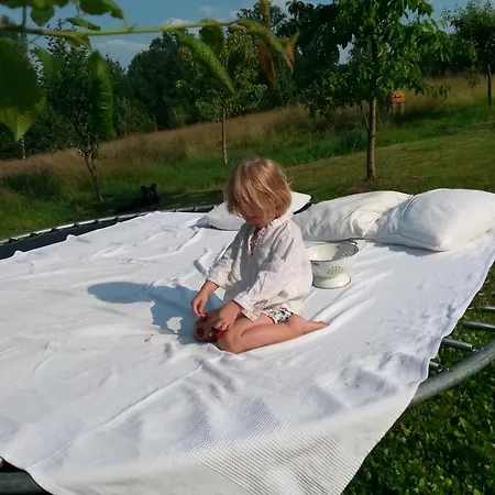 Ferienhaus Chill Us - W Otoczeniu Lasu I Natury, Przyjazny Czworonogom *