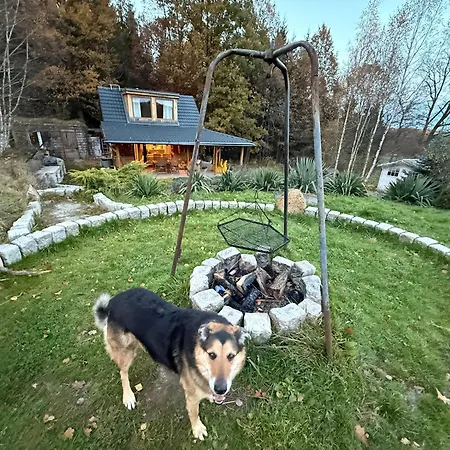 Chill Us - W Otoczeniu Lasu I Natury, Przyjazny Czworonogom Casa vacanze