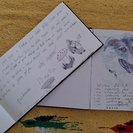 Chill Us - W Otoczeniu Lasu I Natury, Przyjazny Czworonogom Jelenia Góra