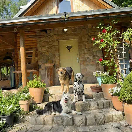 Ferienhaus Chill Us - W Otoczeniu Lasu I Natury, Przyjazny Czworonogom