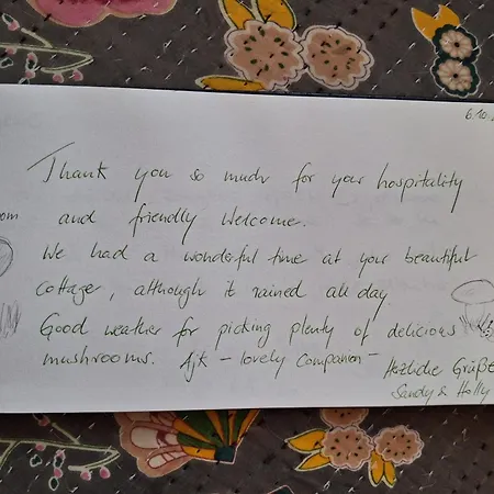 Chill Us - W Otoczeniu Lasu I Natury, Przyjazny Czworonogom Ferienhaus *