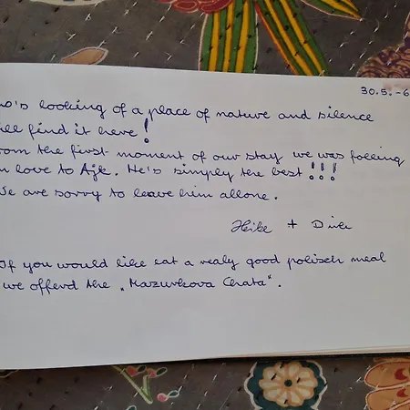 Chill Us - W Otoczeniu Lasu I Natury, Przyjazny Czworonogom Ferienhaus