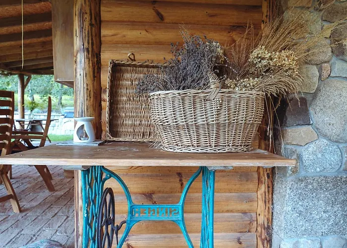 Chill Us - W Otoczeniu Lasu I Natury, Przyjazny Czworonogom - By Space Dom wakacyjny Jelenia Góra