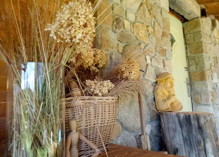 Chill Us - W Otoczeniu Lasu I Natury, Przyjazny Czworonogom - By Space Dom wakacyjny