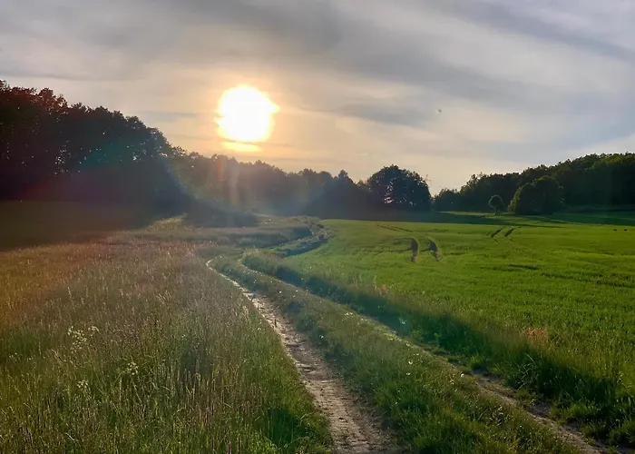 Dom wakacyjny Chill Us - W Otoczeniu Lasu I Natury, Przyjazny Czworonogom - By Space
