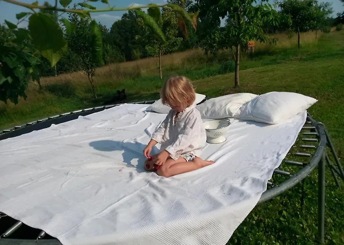 Dom wakacyjny Chill Us - W Otoczeniu Lasu I Natury, Przyjazny Czworonogom - By Space *