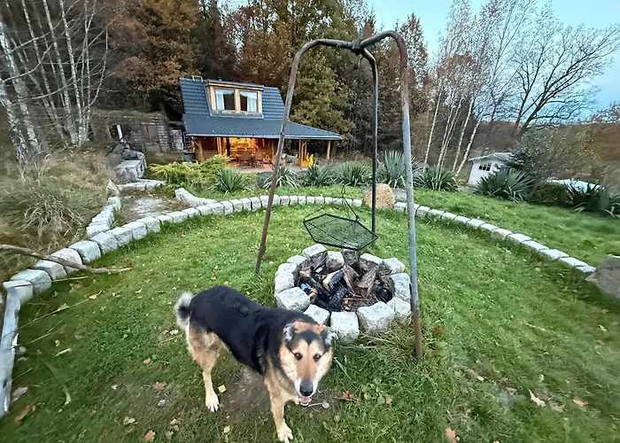 Chill Us - W Otoczeniu Lasu I Natury, Przyjazny Czworonogom - By Space Dom wakacyjny