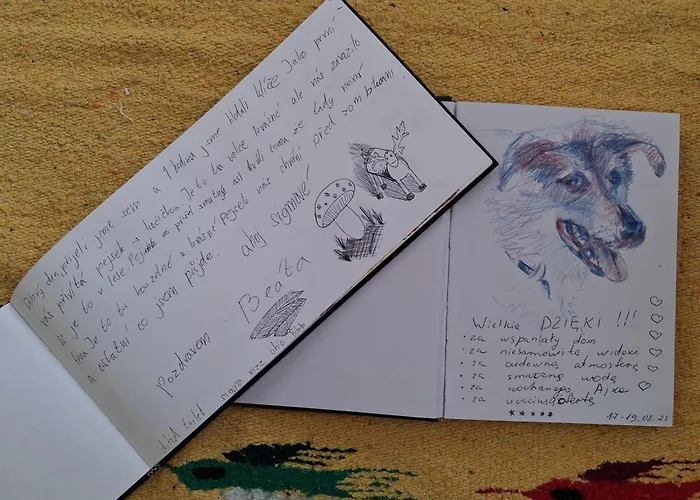 Chill Us - W Otoczeniu Lasu I Natury, Przyjazny Czworonogom - By Space Jelenia Góra