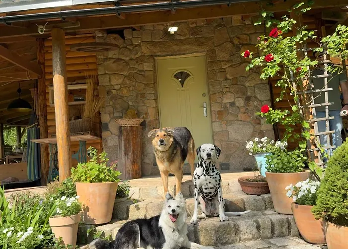 Dom wakacyjny Chill Us - W Otoczeniu Lasu I Natury, Przyjazny Czworonogom - By Space