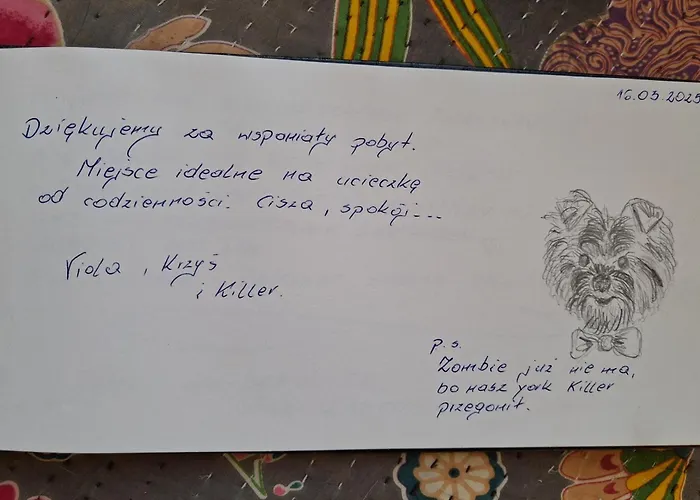 Chill Us - W Otoczeniu Lasu I Natury, Przyjazny Czworonogom - By Space Dom wakacyjny Jelenia Góra