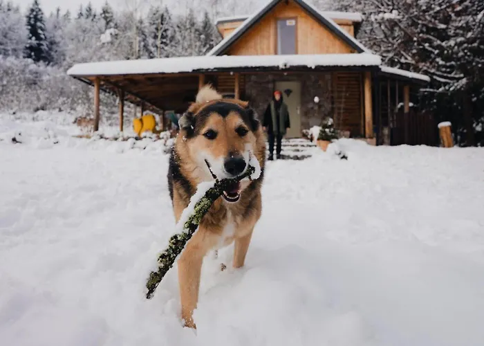 Chill Us - W Otoczeniu Lasu I Natury, Przyjazny Czworonogom - By Space Dom wakacyjny Jelenia Góra